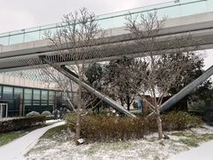 -北京园博大酒店