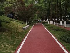 -怪噜范·贵阳小吃大排档(金源旗舰店)