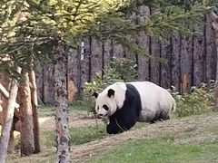 -大青山野生动物园