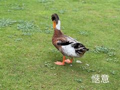 -大宁公园