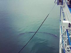 -星海蹦极娱乐