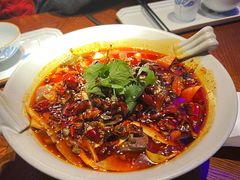 -映水芙蓉(上海万象城店)