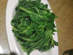 清炒豌豆尖-渝信川菜(长安店)