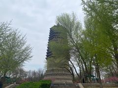 -玲珑塔公园