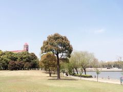 吉姆丽德乡村西餐厅(闵行交大二店)-吉姆丽德乡村西餐厅(闵行交大店)