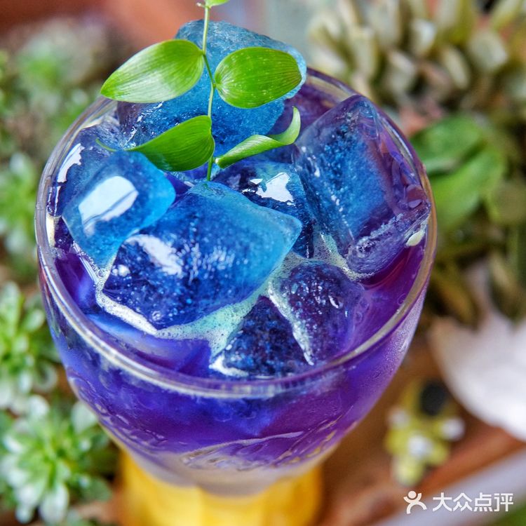 ✨12星座专属特饮之双鱼座♓️✨✨✨