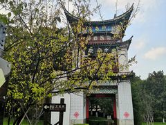 -云南民族村