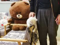 -平行世界·猫咖(首经贸店)