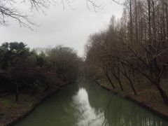 -同里国家湿地公园