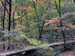 -丹东天桥沟景区