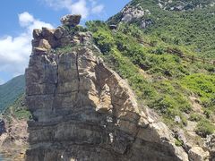 -杨梅坑