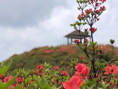 -大围山国家森林公园