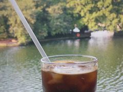 -荔湾湖公园