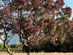 -艾溪湖湿地公园