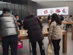 -Apple零售店(新街口店)
