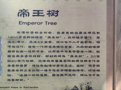 -潭柘寺景区