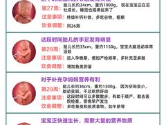-大班家政月嫂育儿嫂(总部店)