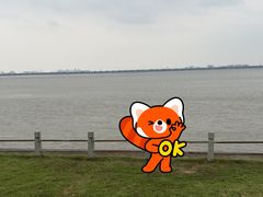 -观潮胜地公园