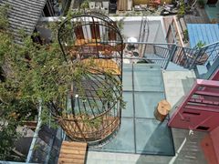 -喵屿·大理花园猫咖