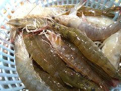 -港畔赶海蒸汽海鲜烧烤自助(仙螺岛店)