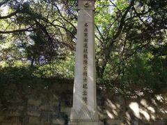 -灵谷景区