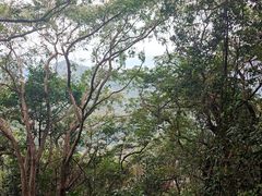 -梧桐山风景名胜区