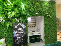 -苗方清颜专业祛痘连锁机构