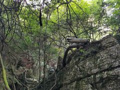 -梦幻奥陶纪景区