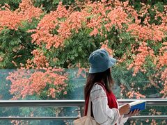 -武汉荟聚