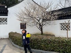 -香雪海