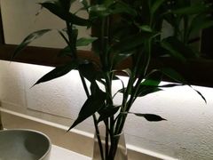 -紫莲花足道(柯桥古镇店)