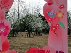 -堤角公园