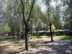 -杨柳青庄园