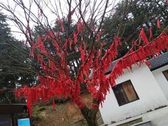 -四明山国家森林公园