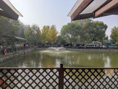 -尚庄度假村·庭台树下·户外烧烤·团建CS·轰趴营地(上庄水库店)