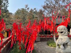 -灵岩山风景区