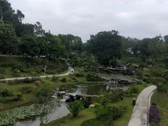-东莞植物园