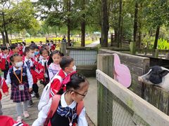 -田园东方蜜桃村的田野营地