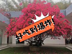 -深圳湾公园(南山区)