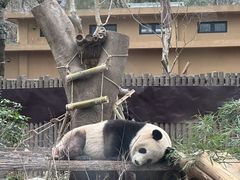 -杭州动物园