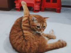 -广州市白云区图书馆