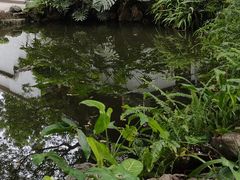 -乌山风景区