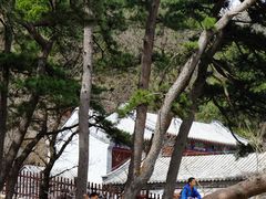 -阳台山自然风景区