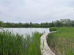 -永定河休闲森林公园