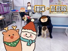 -达爱动物医院·犬猫分区·CT·复杂眼科(远洋山水分院)