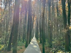 -同里国家湿地公园