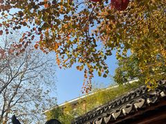 -三林塘老街