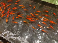 -毛家饭店·30年融合新湘菜(汉峪金谷店)