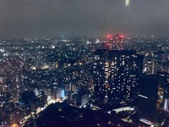 -东京都厅舍