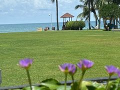 -三亚海棠湾万丽度假酒店